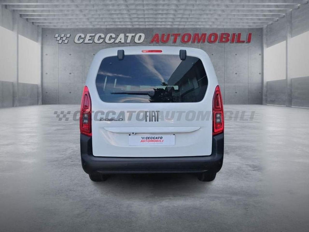 Fiat Fiat Doblo usata 19