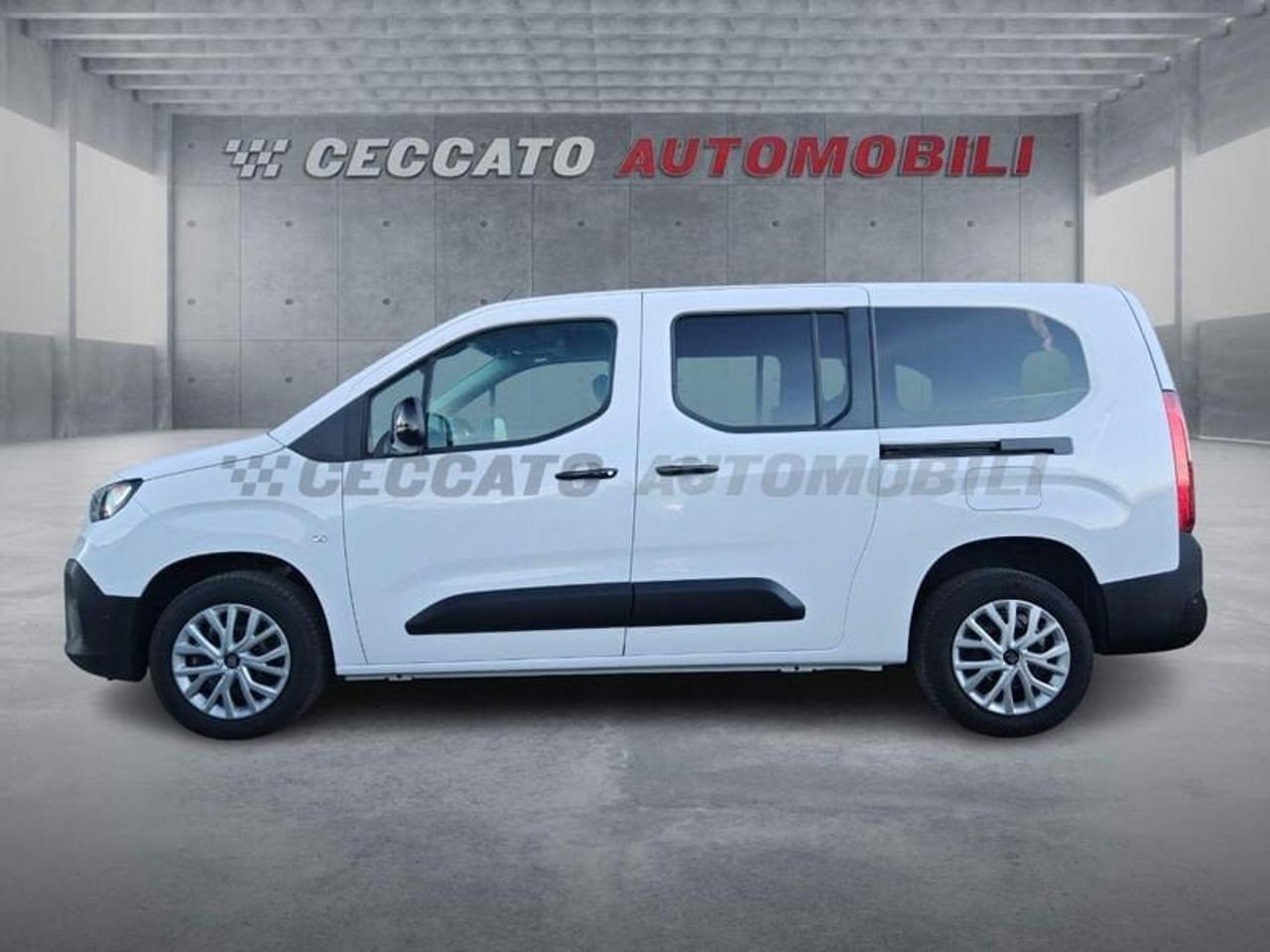 Fiat Fiat Doblo usata 11