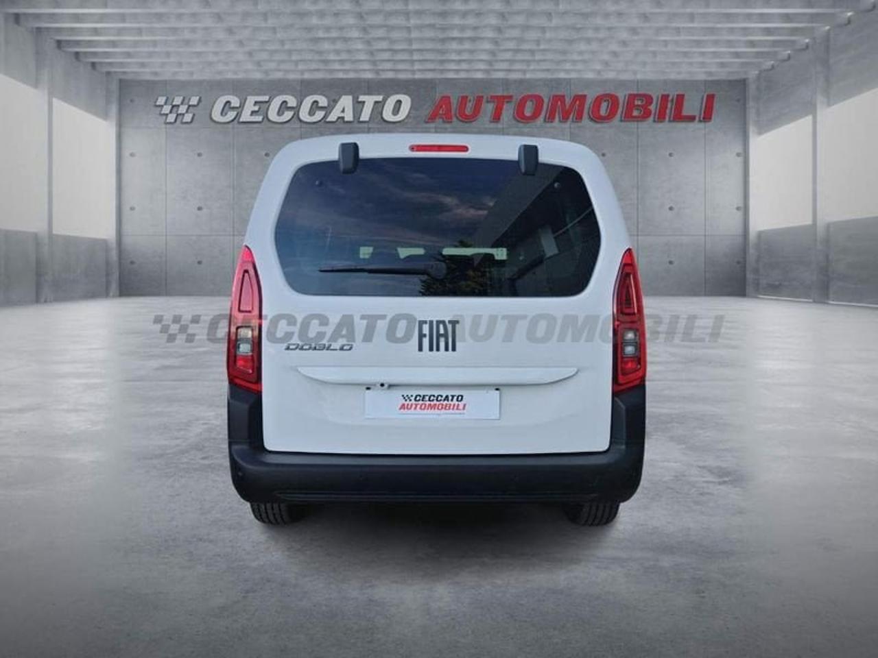 Fiat Fiat Doblo usata 19