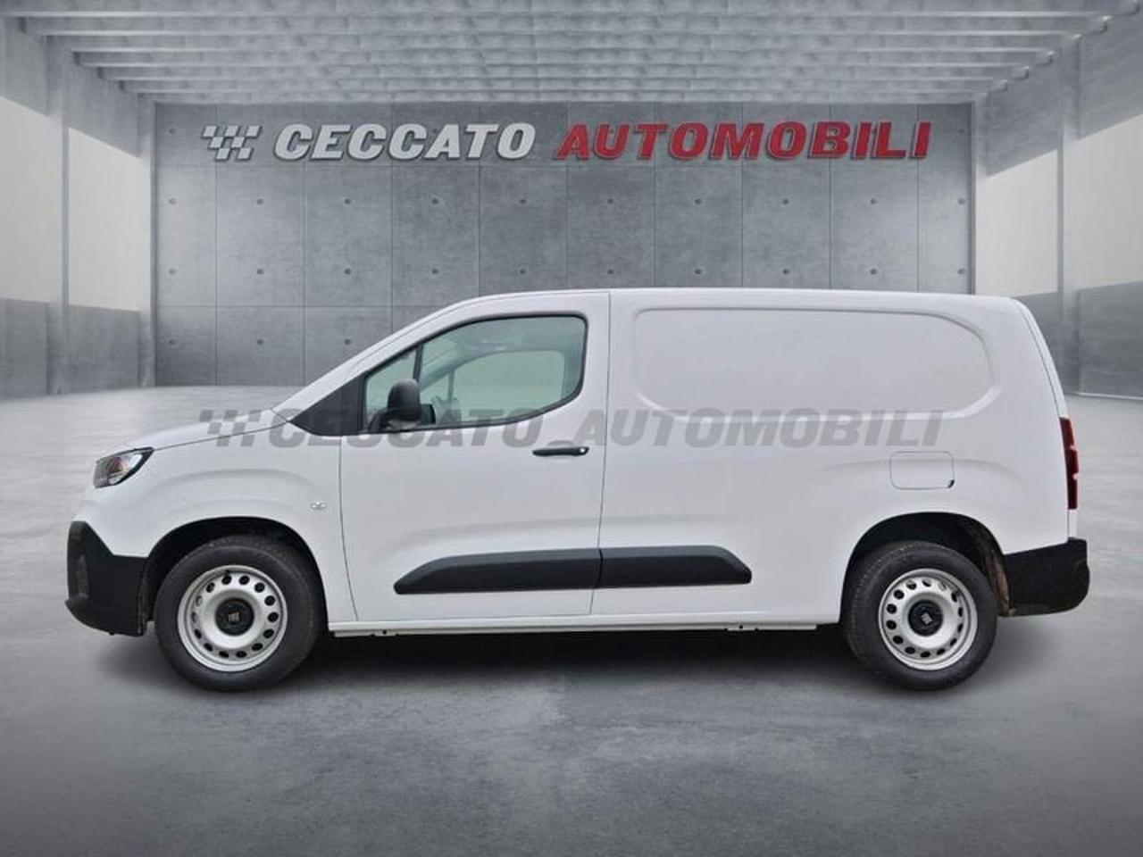 Fiat Fiat Doblo usata 11