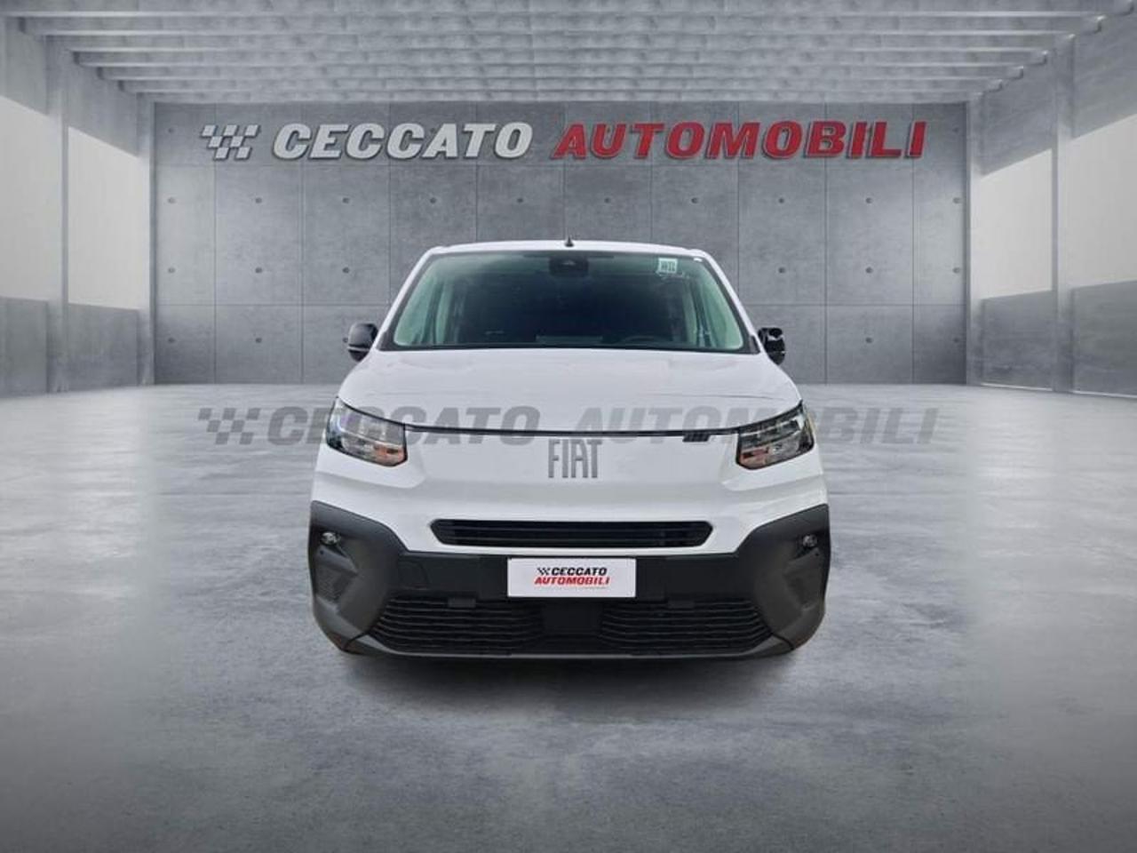 Fiat Fiat Doblo usata 18