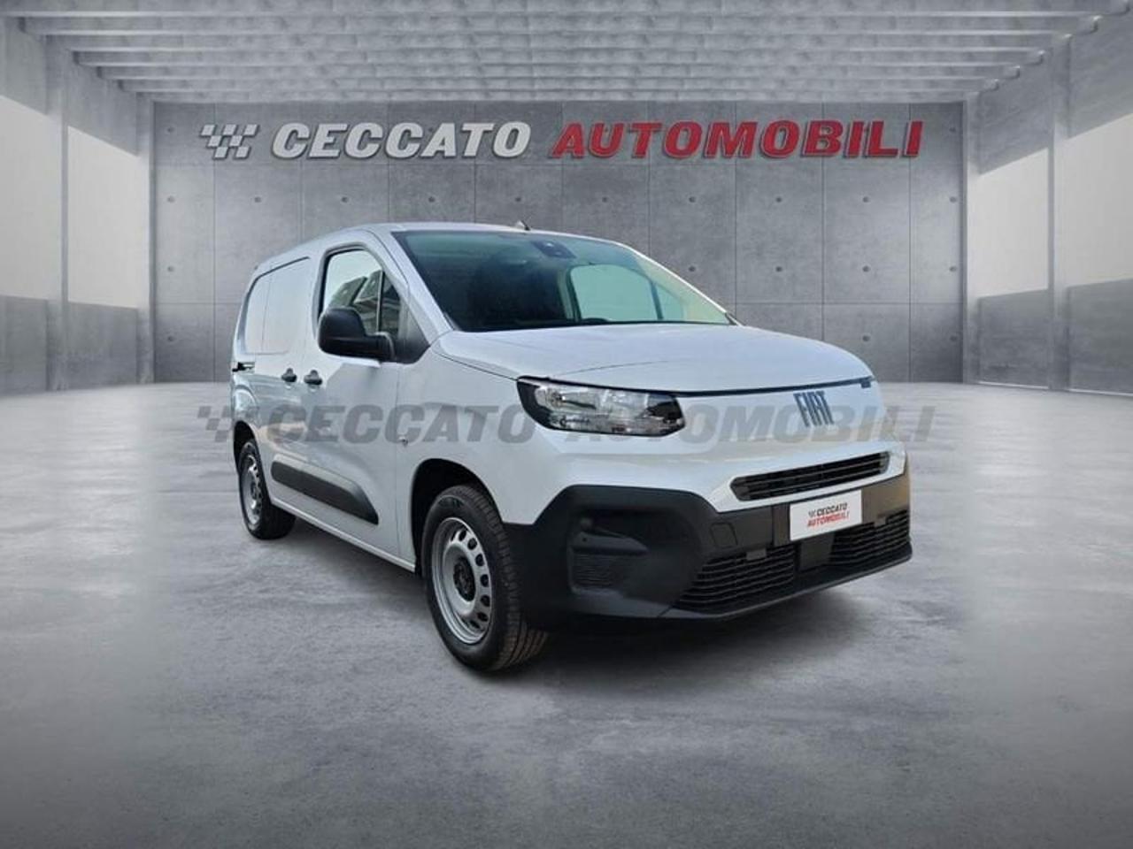 Fiat Fiat Doblo usata 7