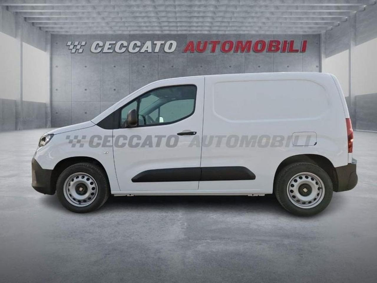Fiat Fiat Doblo usata 11