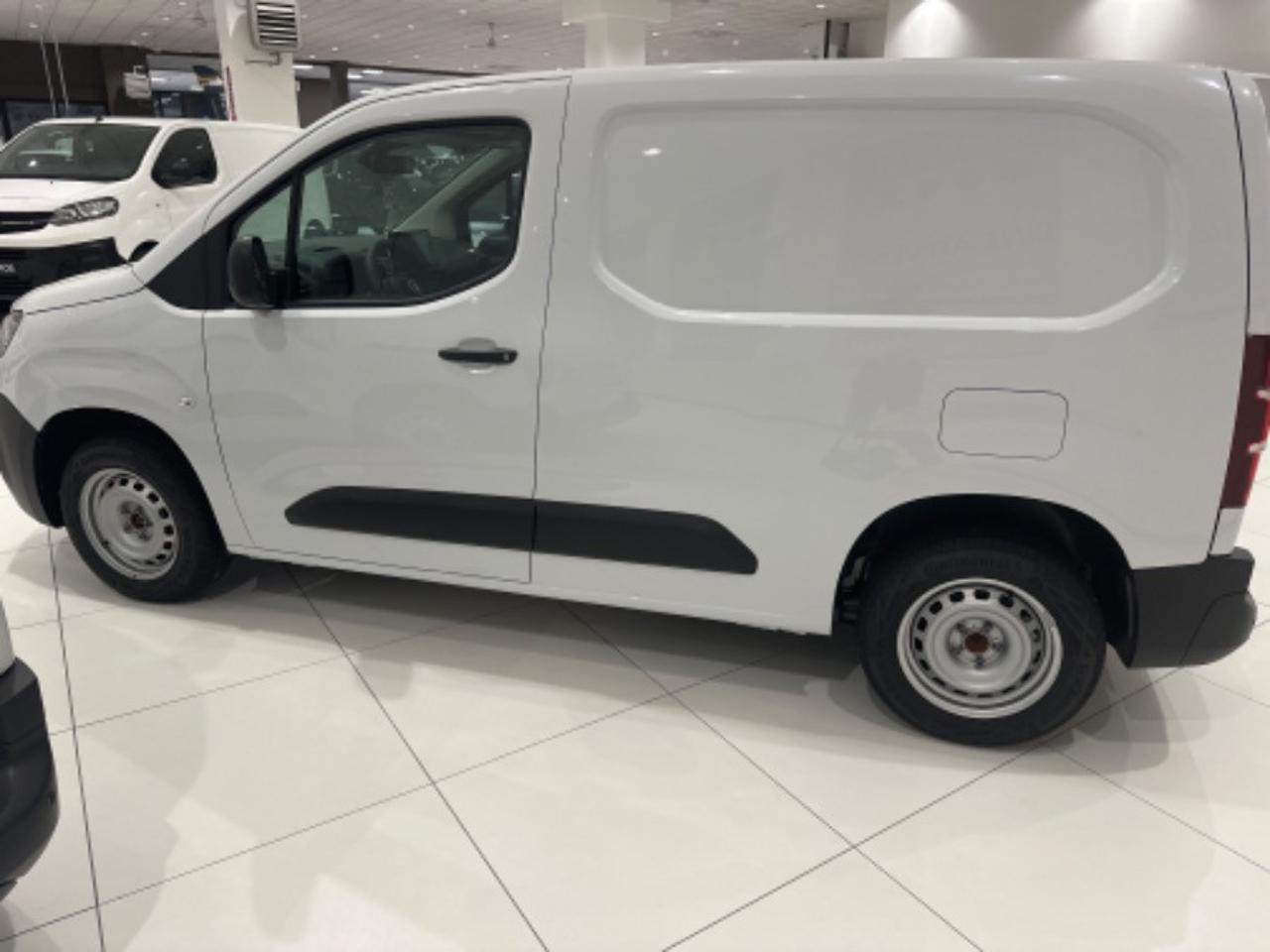 Fiat Fiat Doblo usata 19