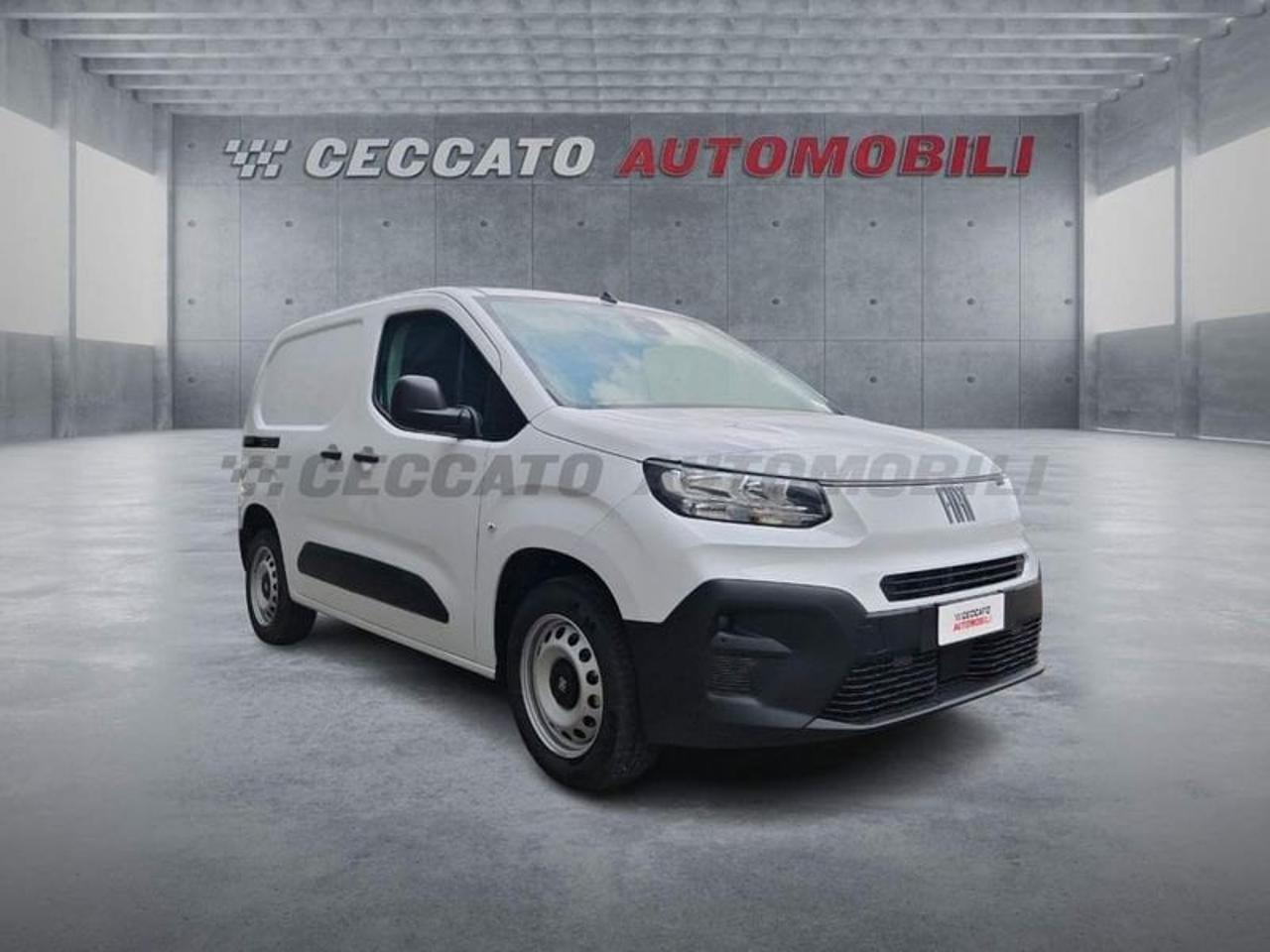 Fiat Fiat Doblo usata, con Mirror Screen