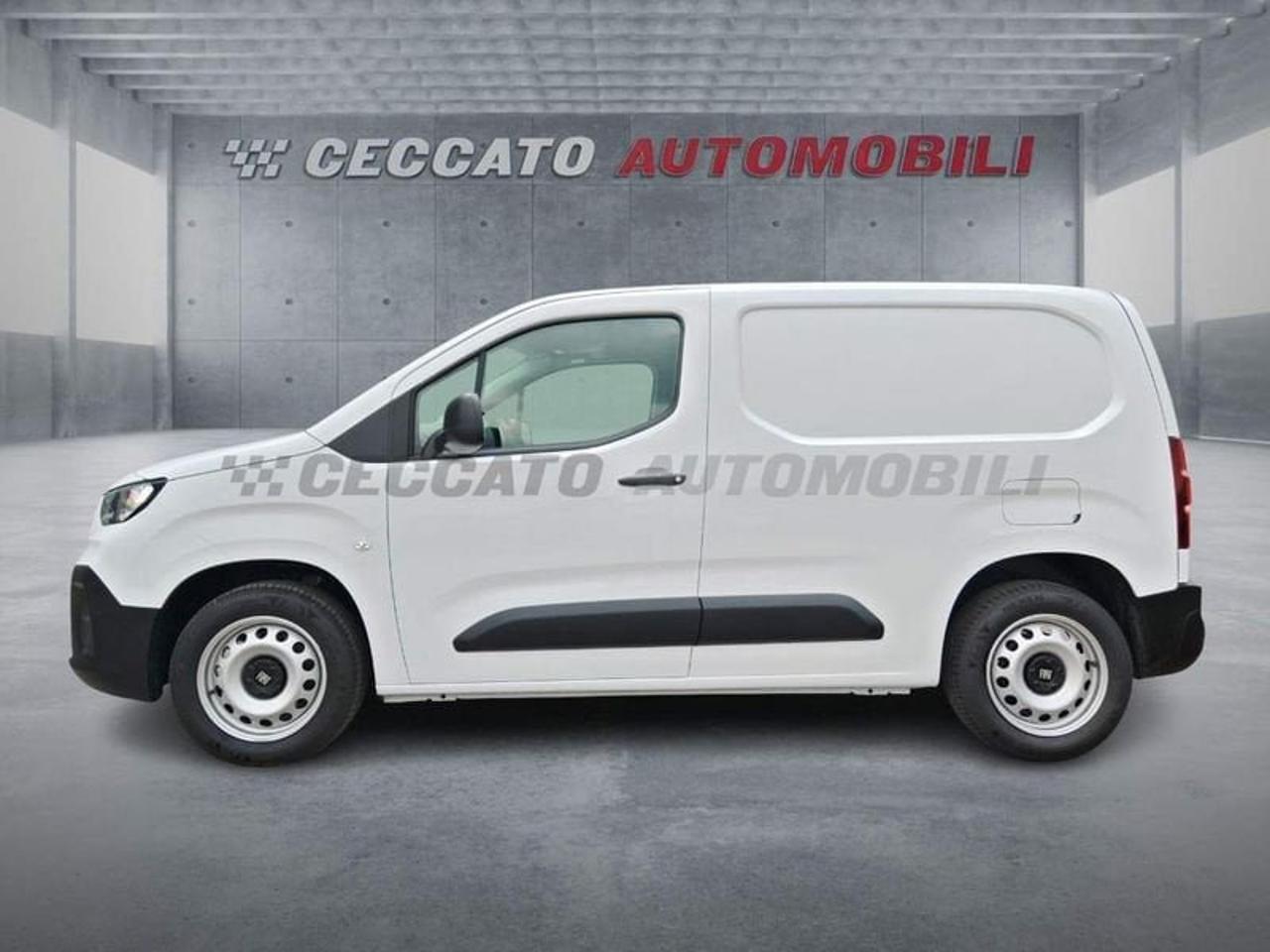 Fiat Fiat Doblo usata, con Tetto Panoramico