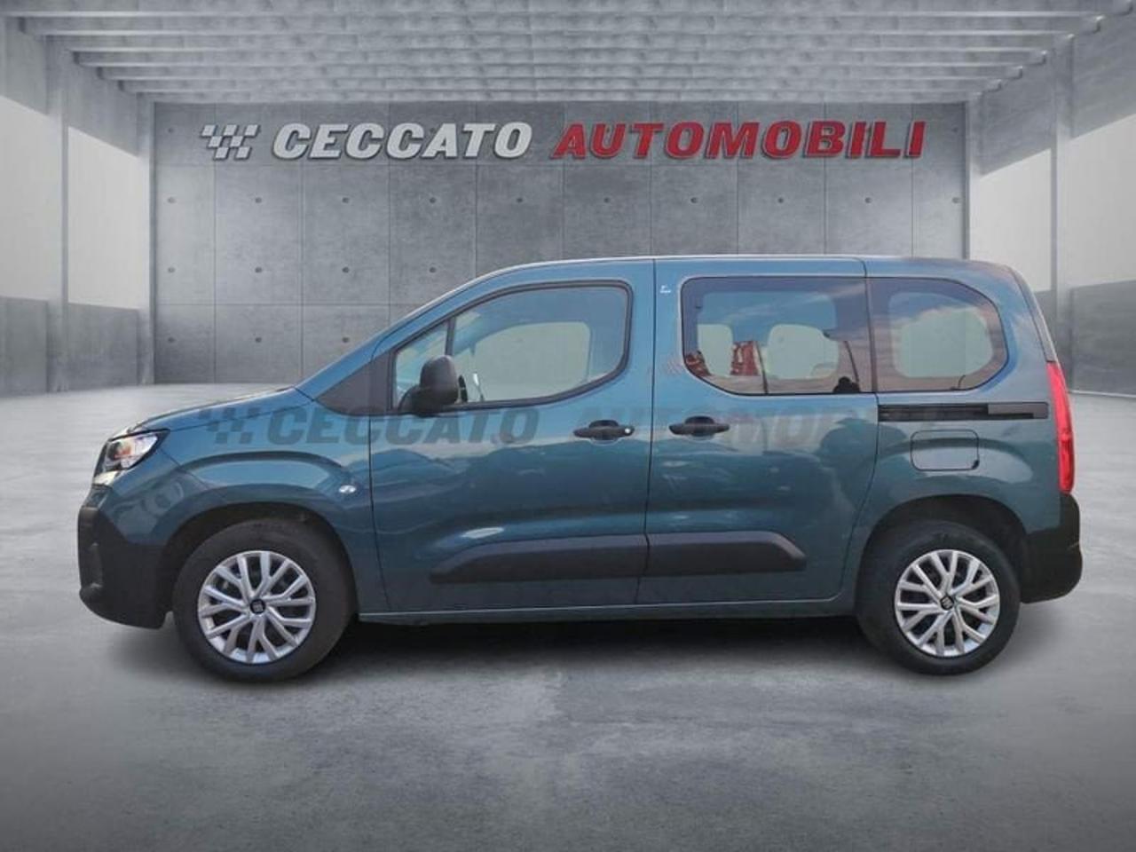 Fiat Fiat Doblo usata 11