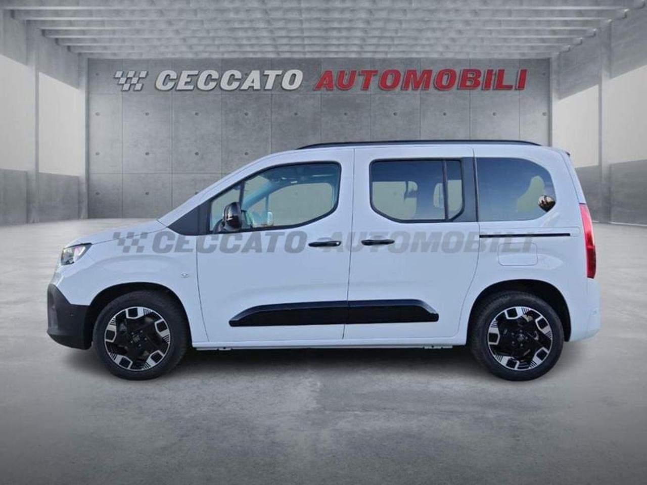 Fiat Fiat Doblo usata 11
