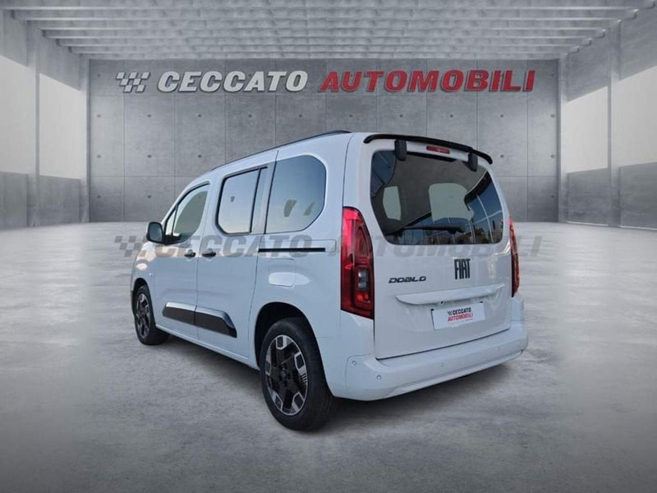 Fiat Fiat Doblo usata 18