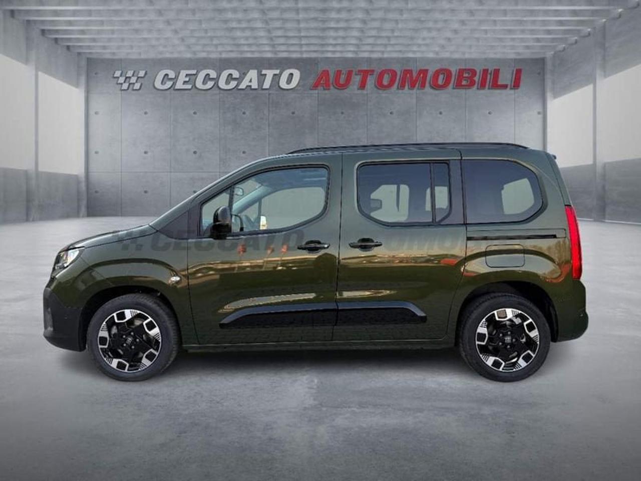 Fiat Fiat Doblo usata 11