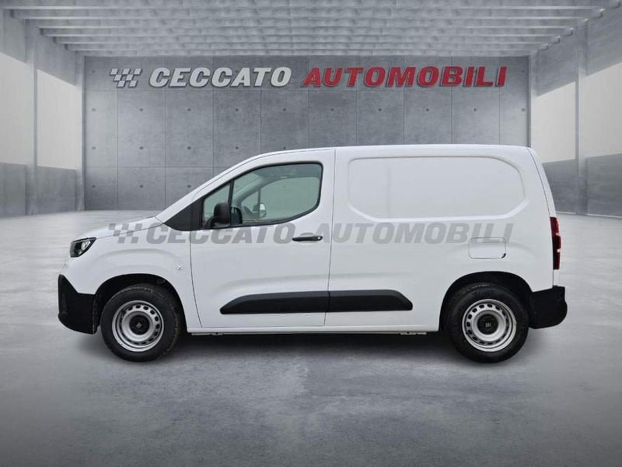 Fiat Fiat Doblo usata 11