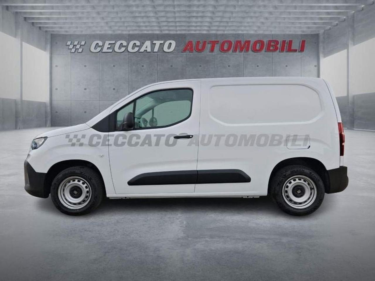 Fiat Fiat Doblo usata 11