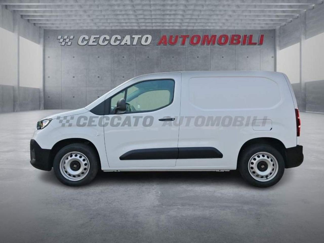 Fiat Fiat Doblo usata 11
