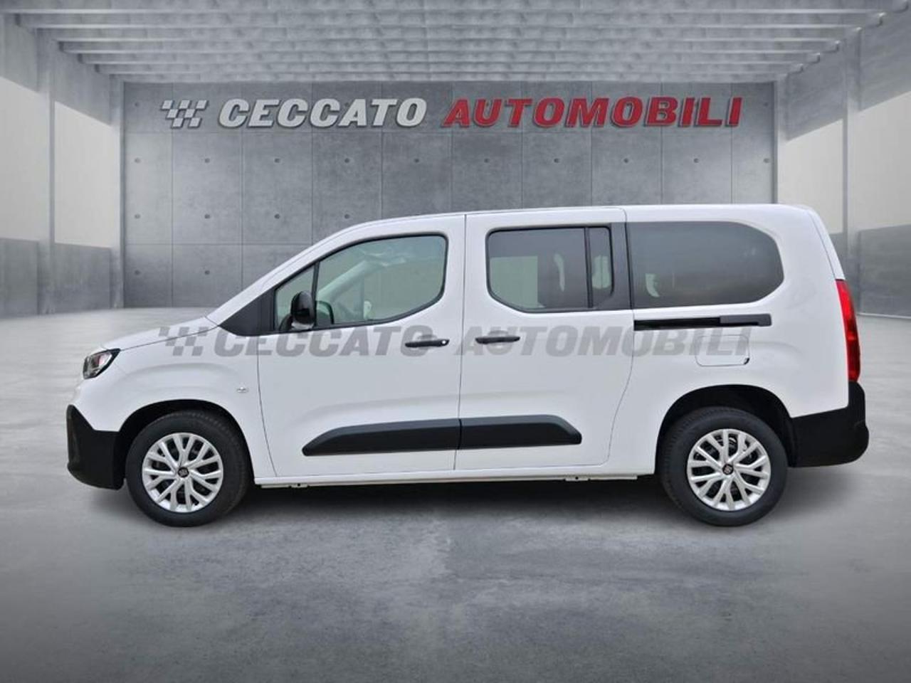 Fiat Fiat Doblo usata 11
