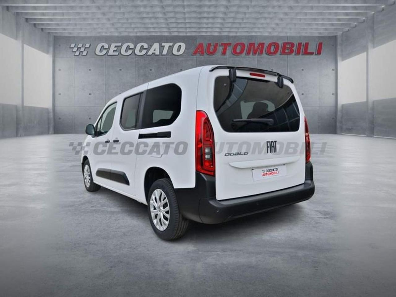 Fiat Fiat Doblo usata 18