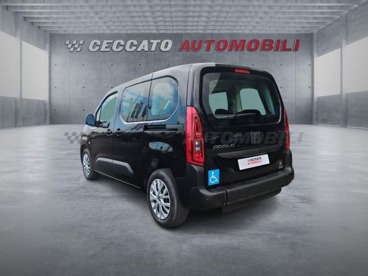 Fiat Fiat Doblo usata 18