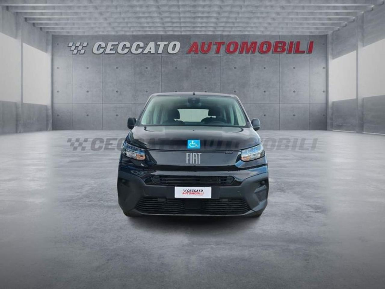 Fiat Fiat Doblo usata 19
