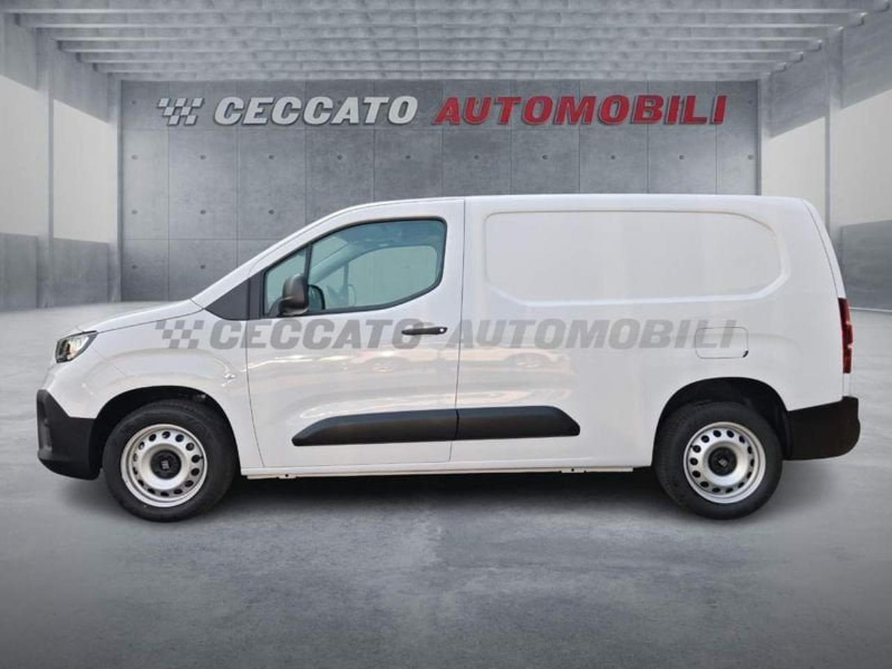 Fiat Fiat Doblo usata 11