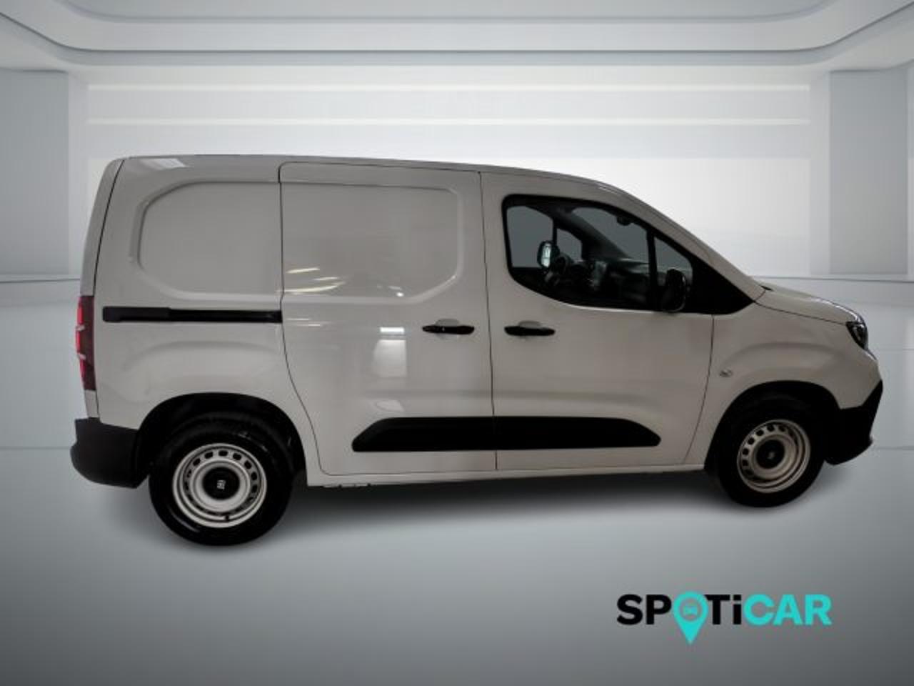 Fiat Fiat Doblo usata 18
