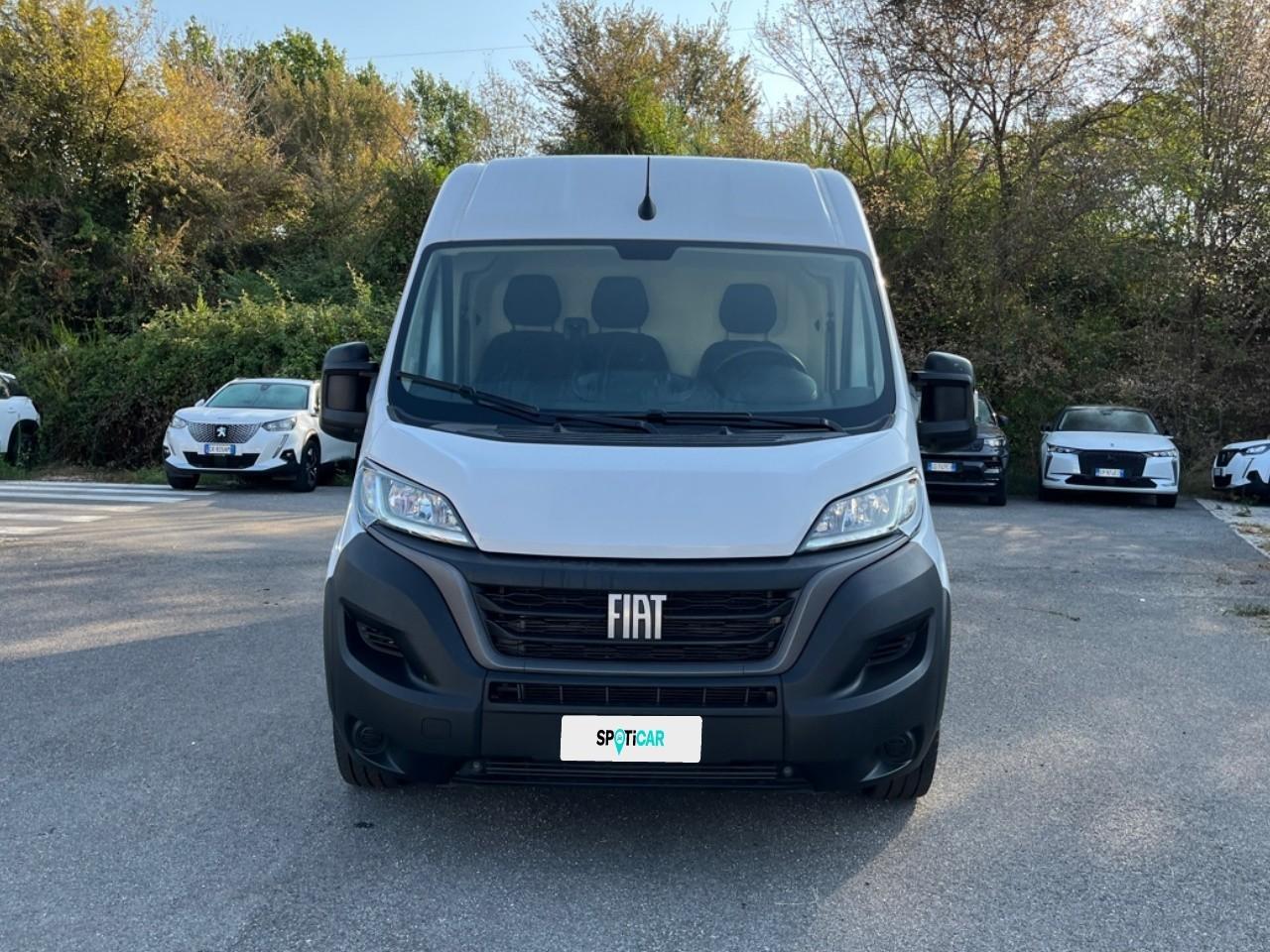 Fiat Fiat Ducato usata, con bracciolo anteriore