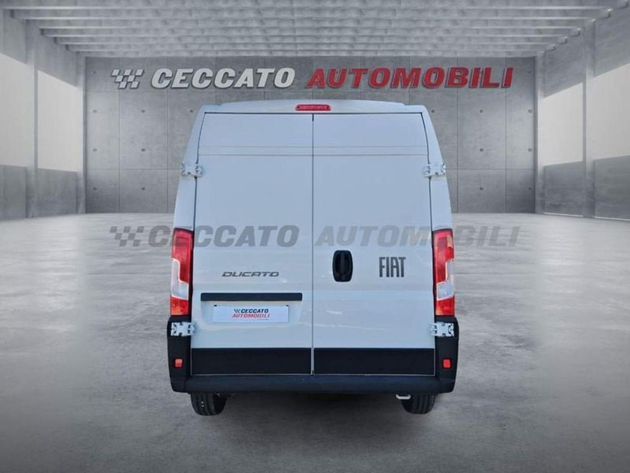 Fiat Fiat Ducato usata 18