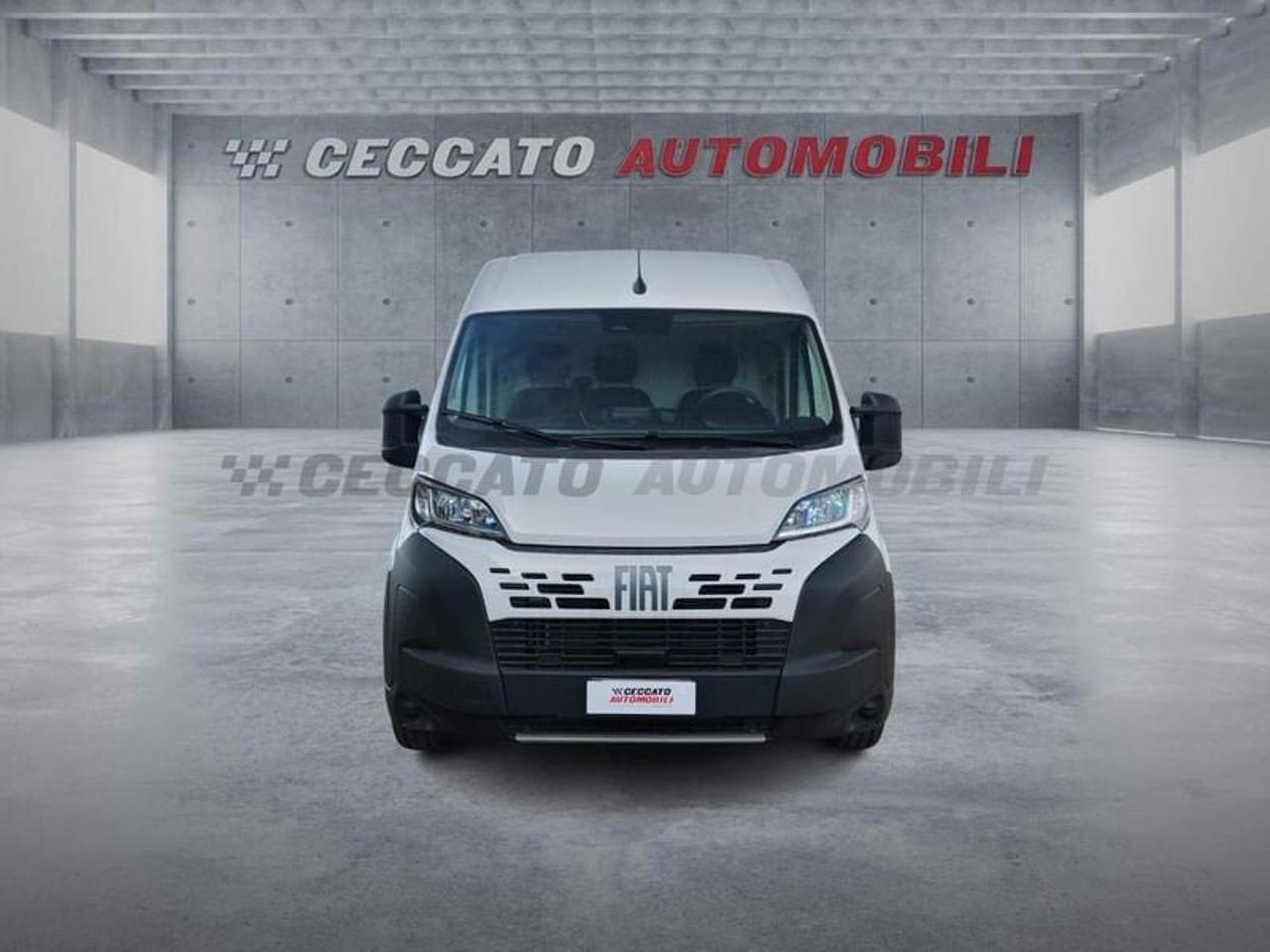 Fiat Fiat Ducato usata 18