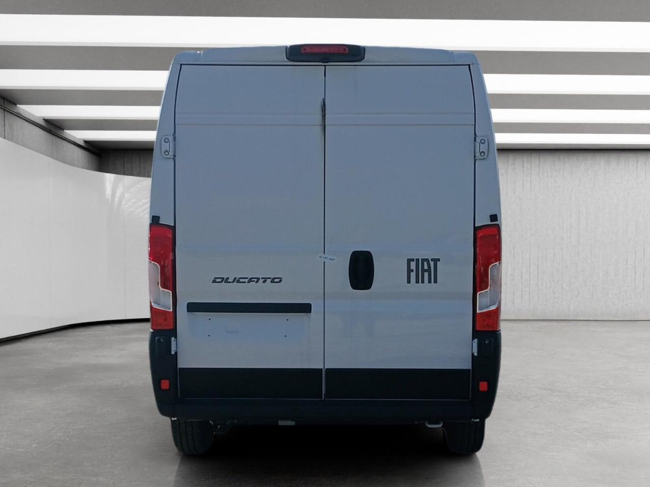 Fiat Fiat Ducato usata 18