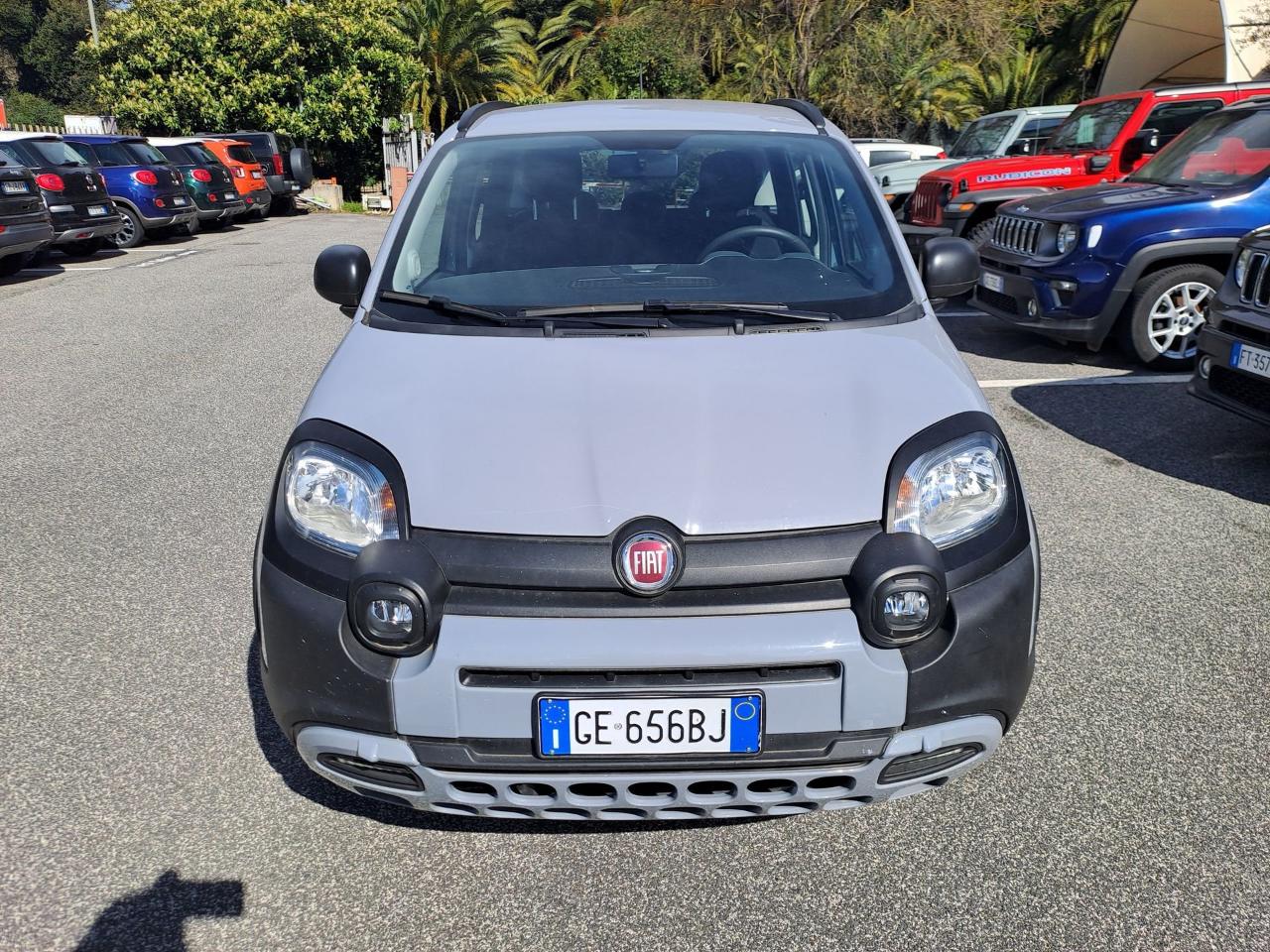 fiat panda panda 1.0 firefly s and s hybrid city cross usata