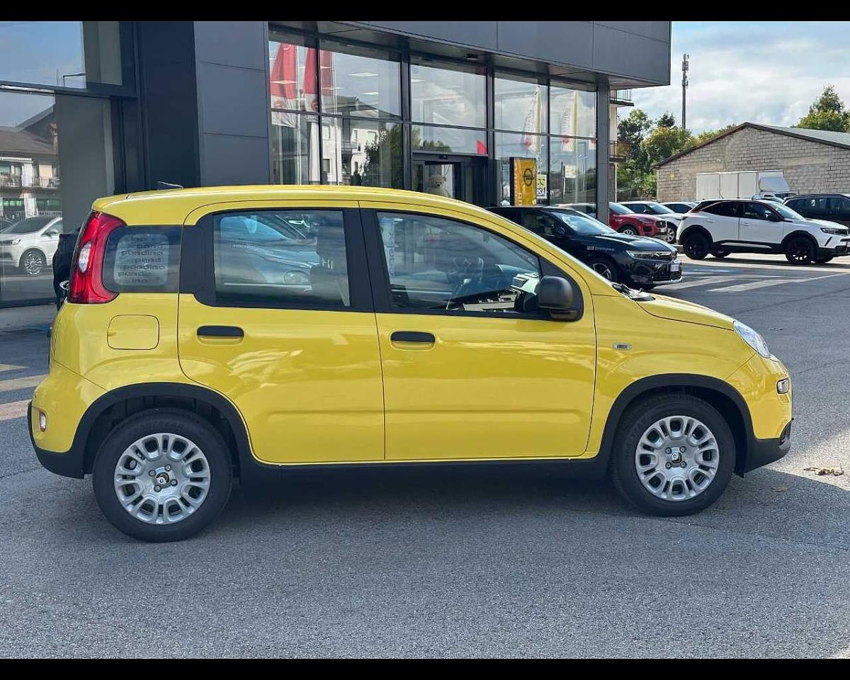 Fiat Fiat Panda usata, con 5 porte