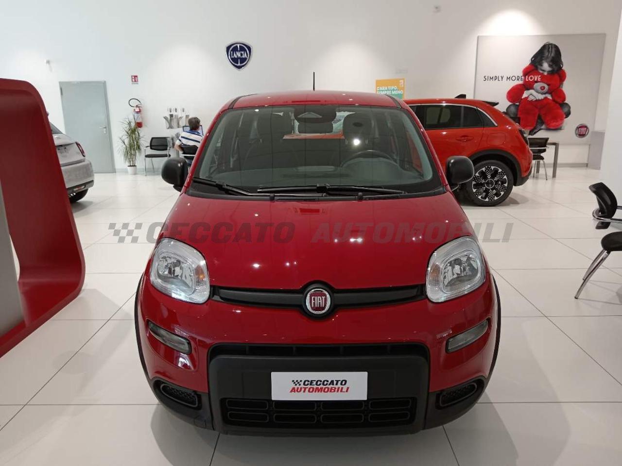 Fiat Fiat Panda usata 11