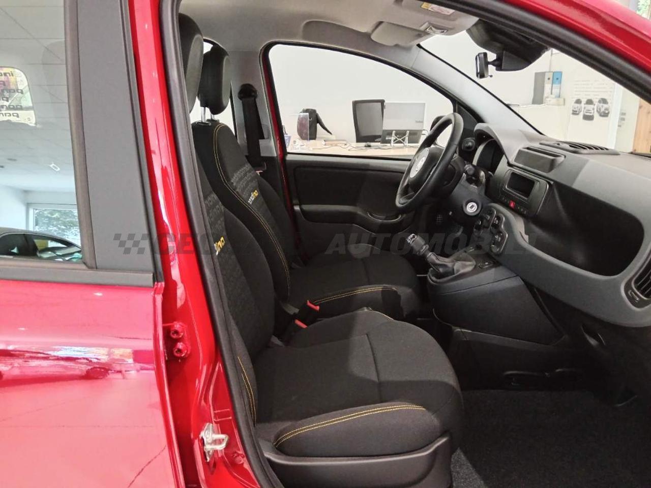 Fiat Fiat Panda usata 12