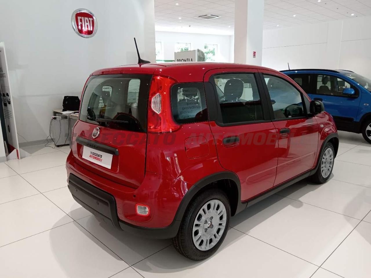 Fiat Fiat Panda usata 13