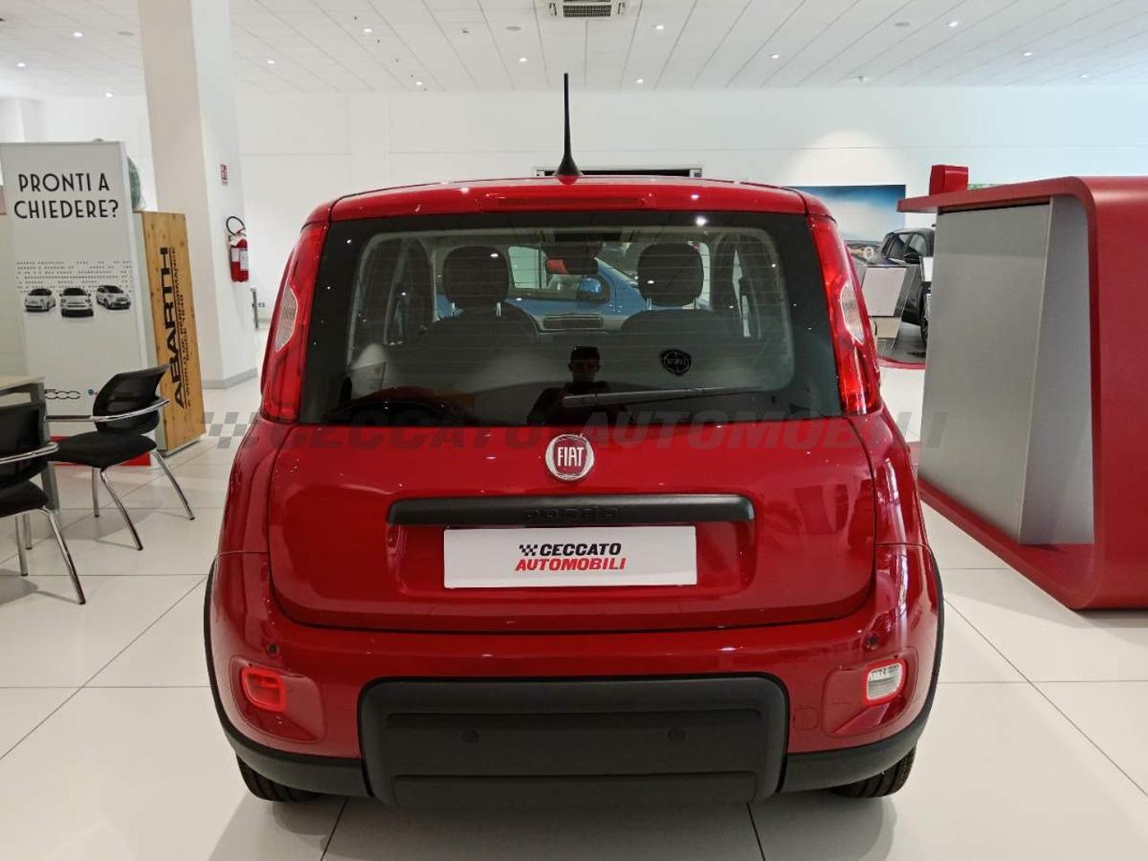 Fiat Fiat Panda usata 14