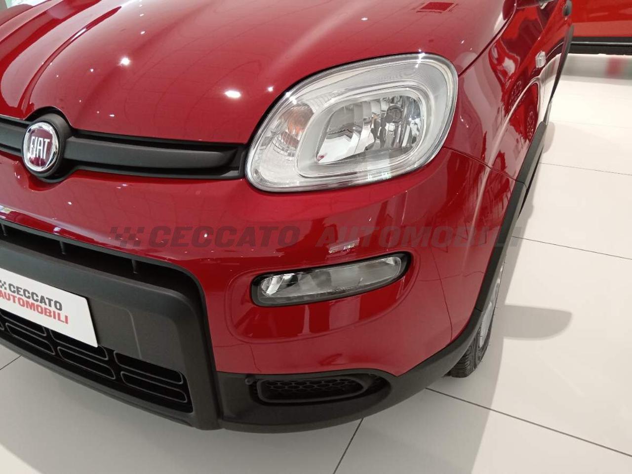 Fiat Fiat Panda usata 16