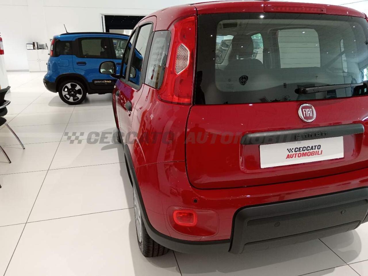 Fiat Fiat Panda usata 18
