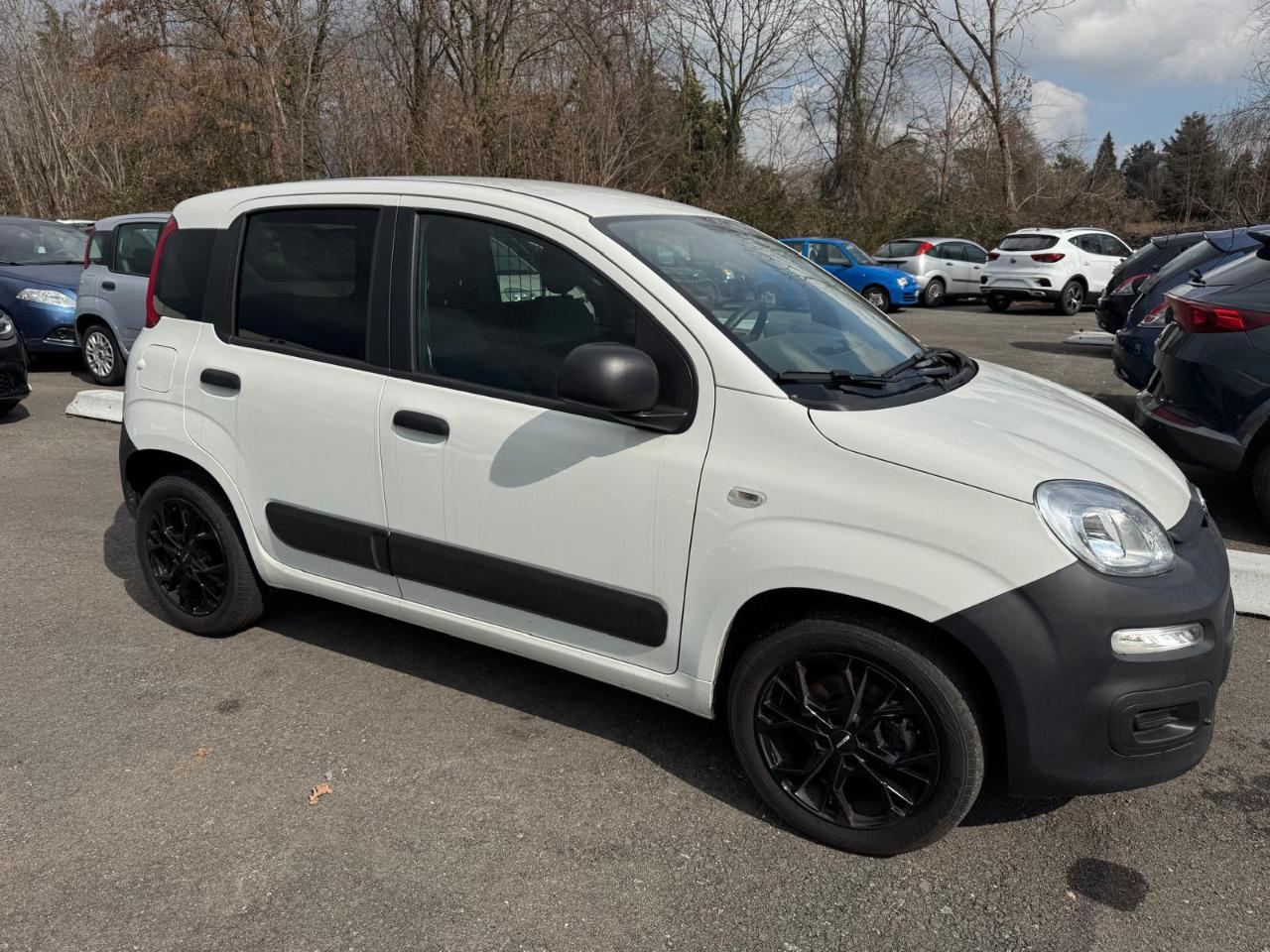 Fiat Fiat Panda usata 10