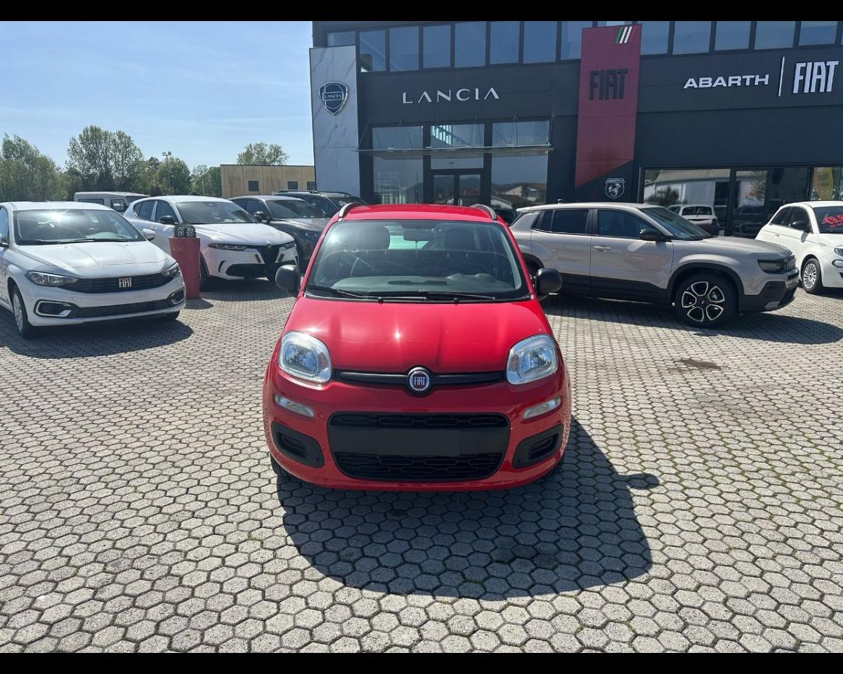 Fiat Fiat Panda usata 11