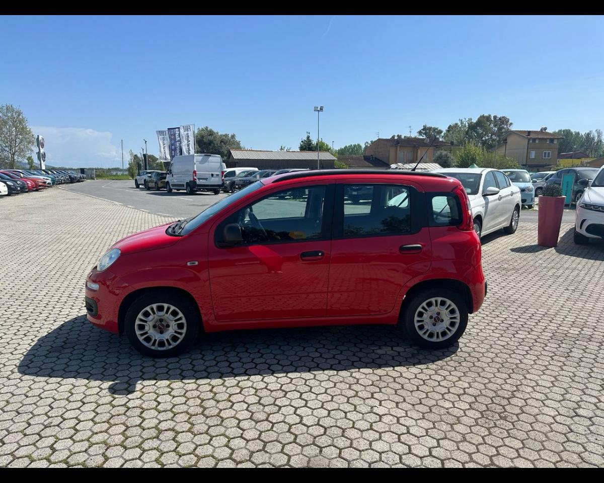 Fiat Fiat Panda usata 14