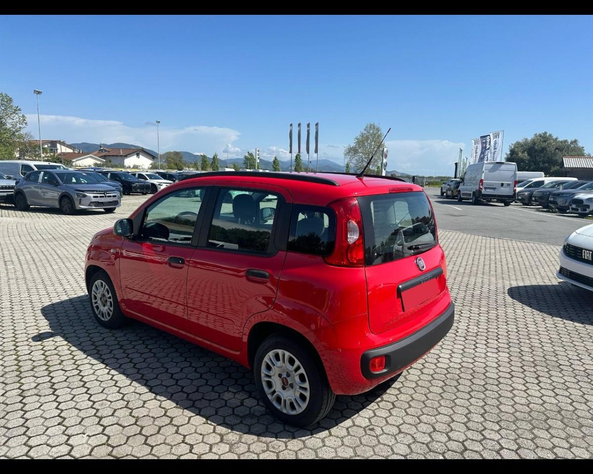 Fiat Fiat Panda usata 15