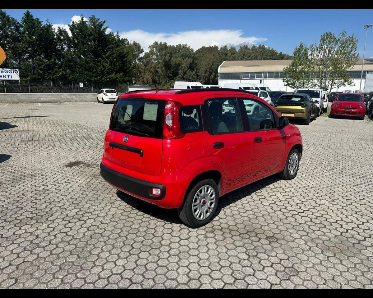 Fiat Fiat Panda usata 18