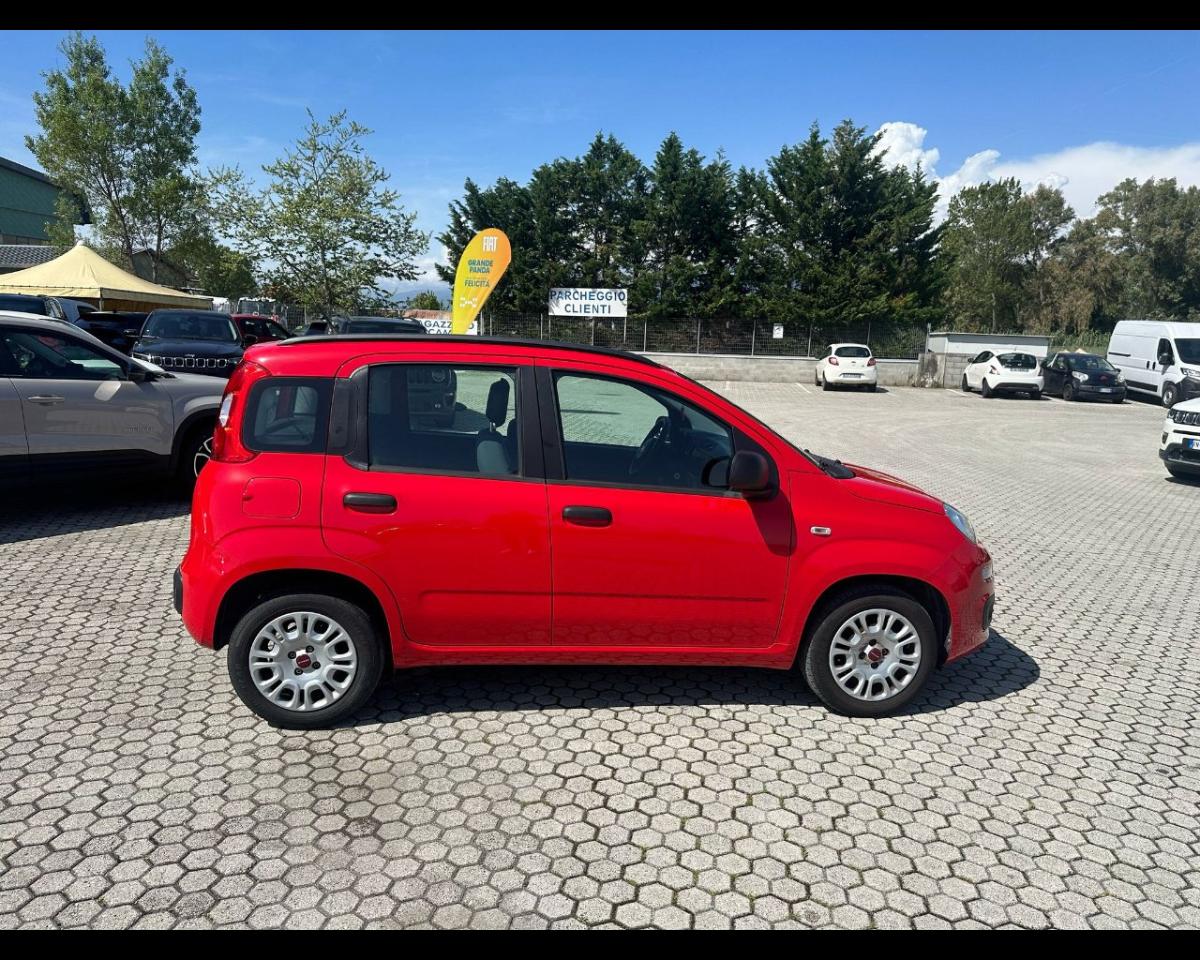 Fiat Fiat Panda usata 19
