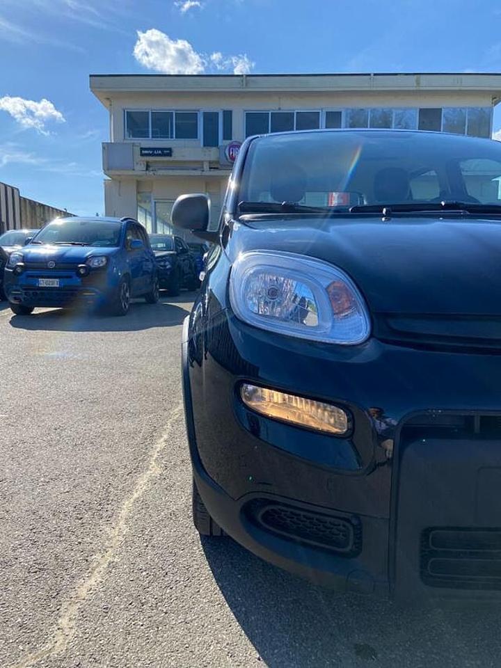 Fiat Fiat Panda usata, con vetri elettrici