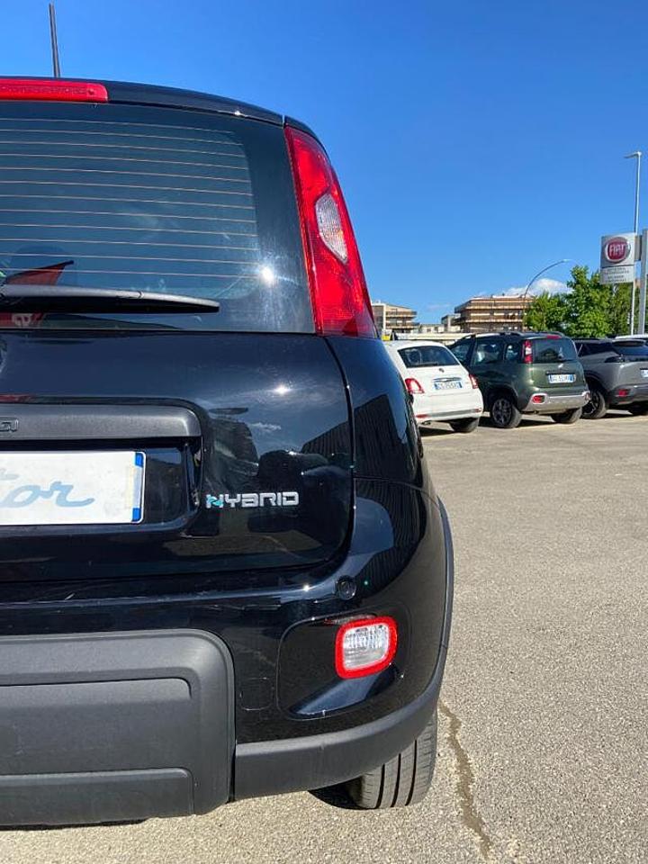 Fiat Fiat Panda usata 8