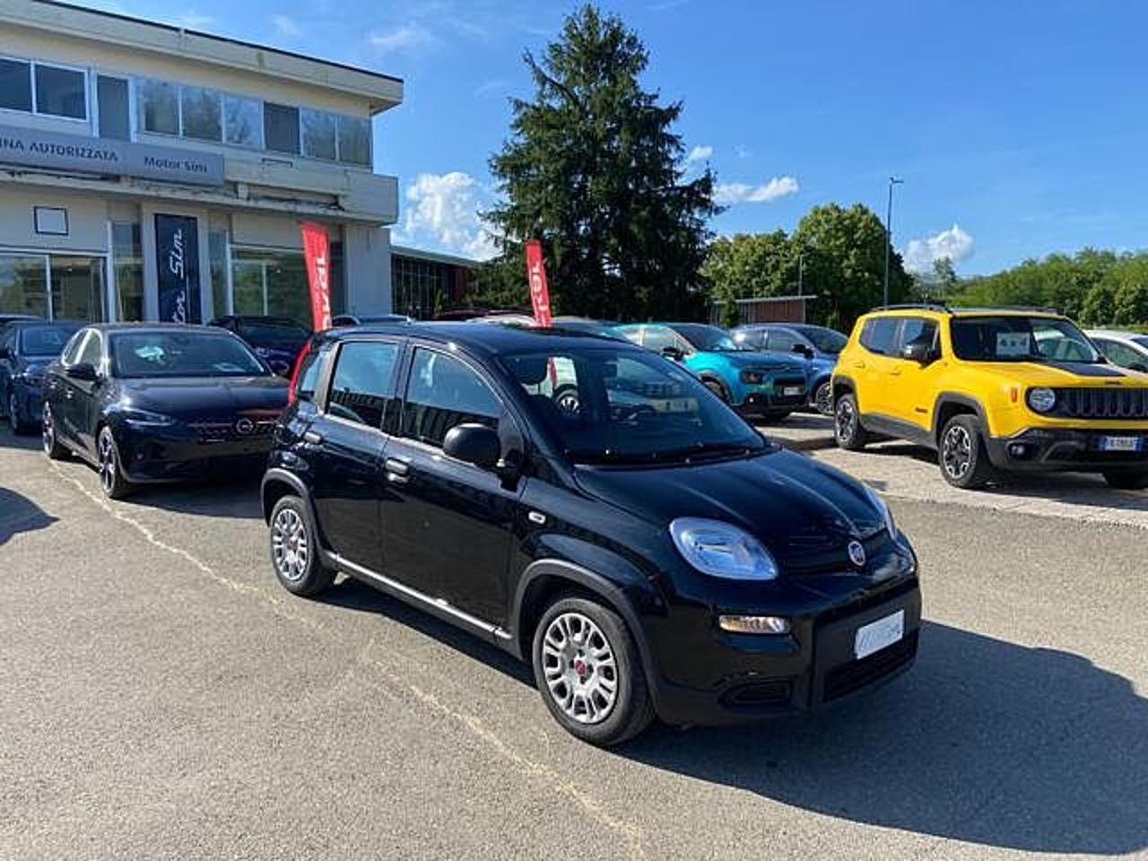 Fiat Fiat Panda usata 13
