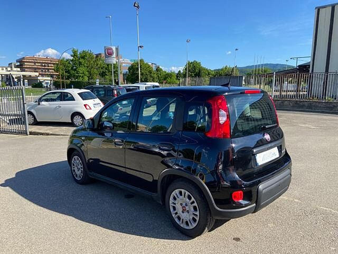 Fiat Fiat Panda usata 17