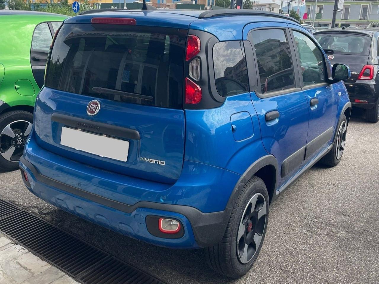 Fiat Fiat Panda usata 13