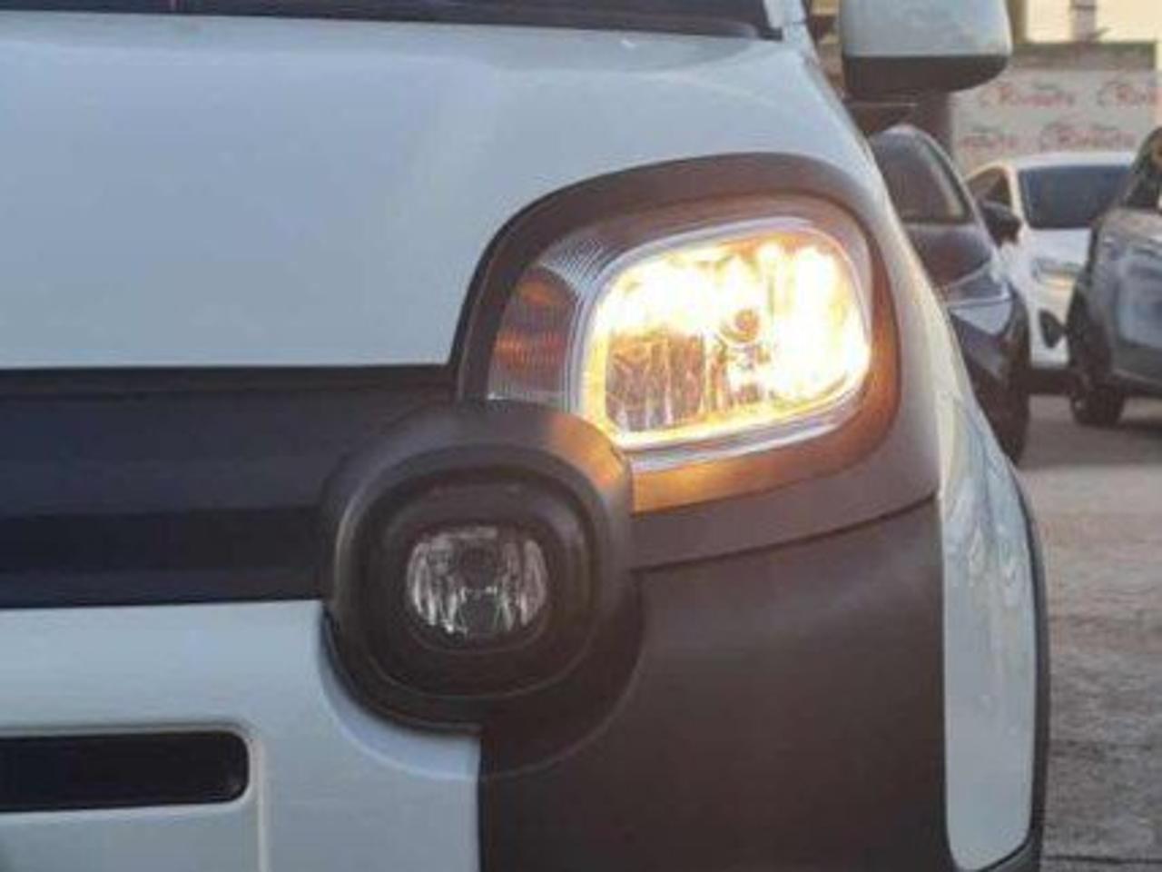 Fiat Fiat Panda usata 4