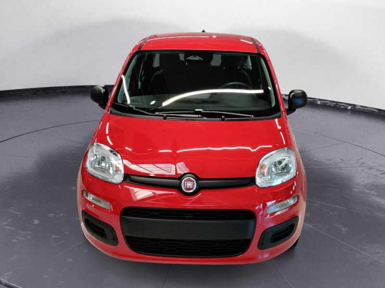 Fiat Fiat Panda usata 7