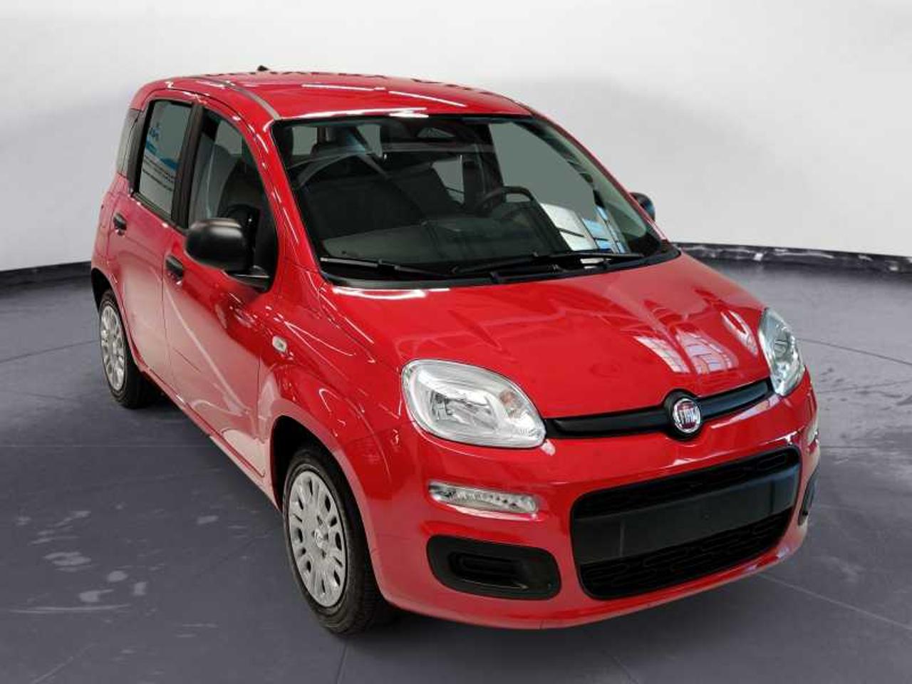 Fiat Fiat Panda usata 8