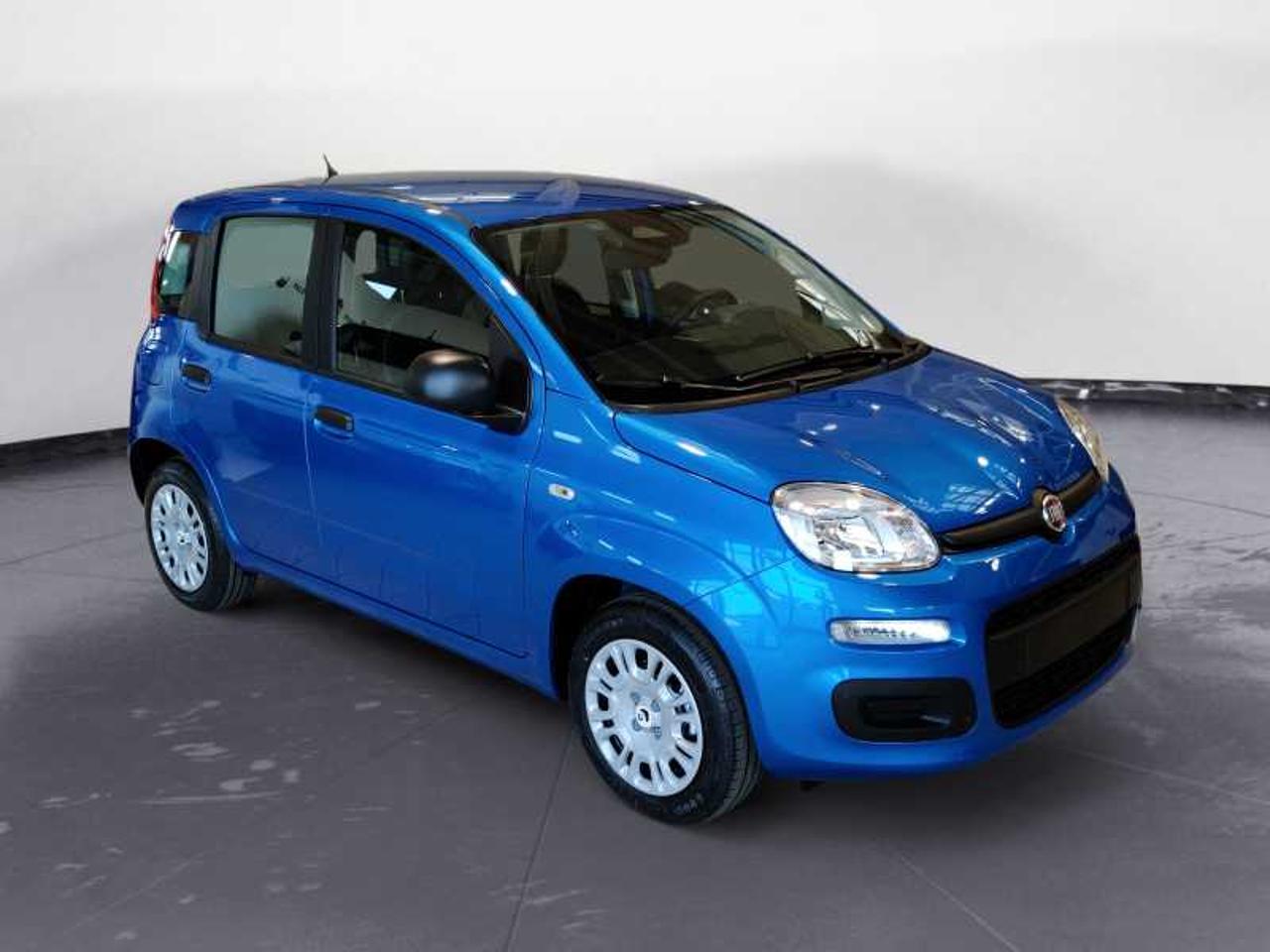 Fiat Fiat Panda usata 8